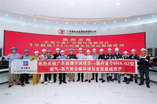 中國第一個9HA(圖1)