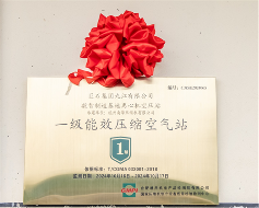 節(jié)能智造再升級(jí) | IHI壽力助力一級(jí)能效空壓站掛牌(圖5)