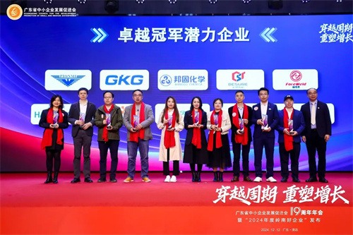 凌宇榮獲2024年嶺南優(yōu)秀企業(yè)“優(yōu)秀冠軍潛力企業(yè)”榮譽(yù)(圖4)