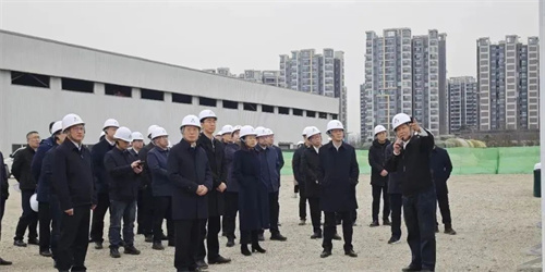 金星集團天府新區(qū)氫能設(shè)備產(chǎn)業(yè)園實地調(diào)查(圖3)