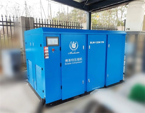 博萊特BLW無油中壓系列的獨(dú)特魅力是什么?(圖3)