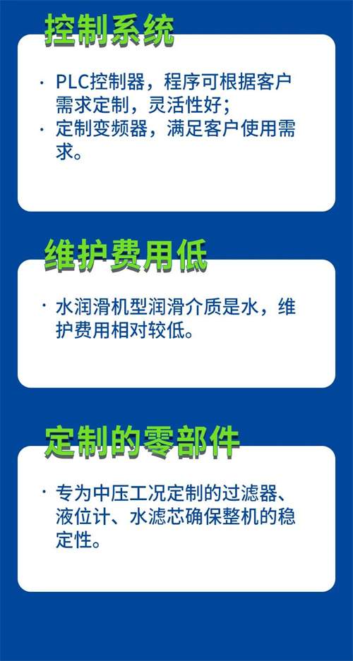 BLW中壓系列螺桿空氣壓縮機(jī)(圖4)